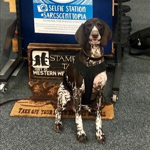 Meet your Posher, Mary